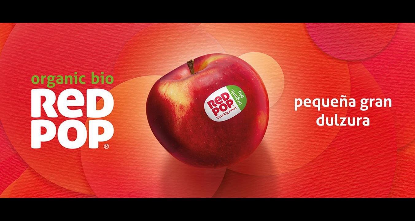 redpop-header-website-1352-x-569px-bio-es