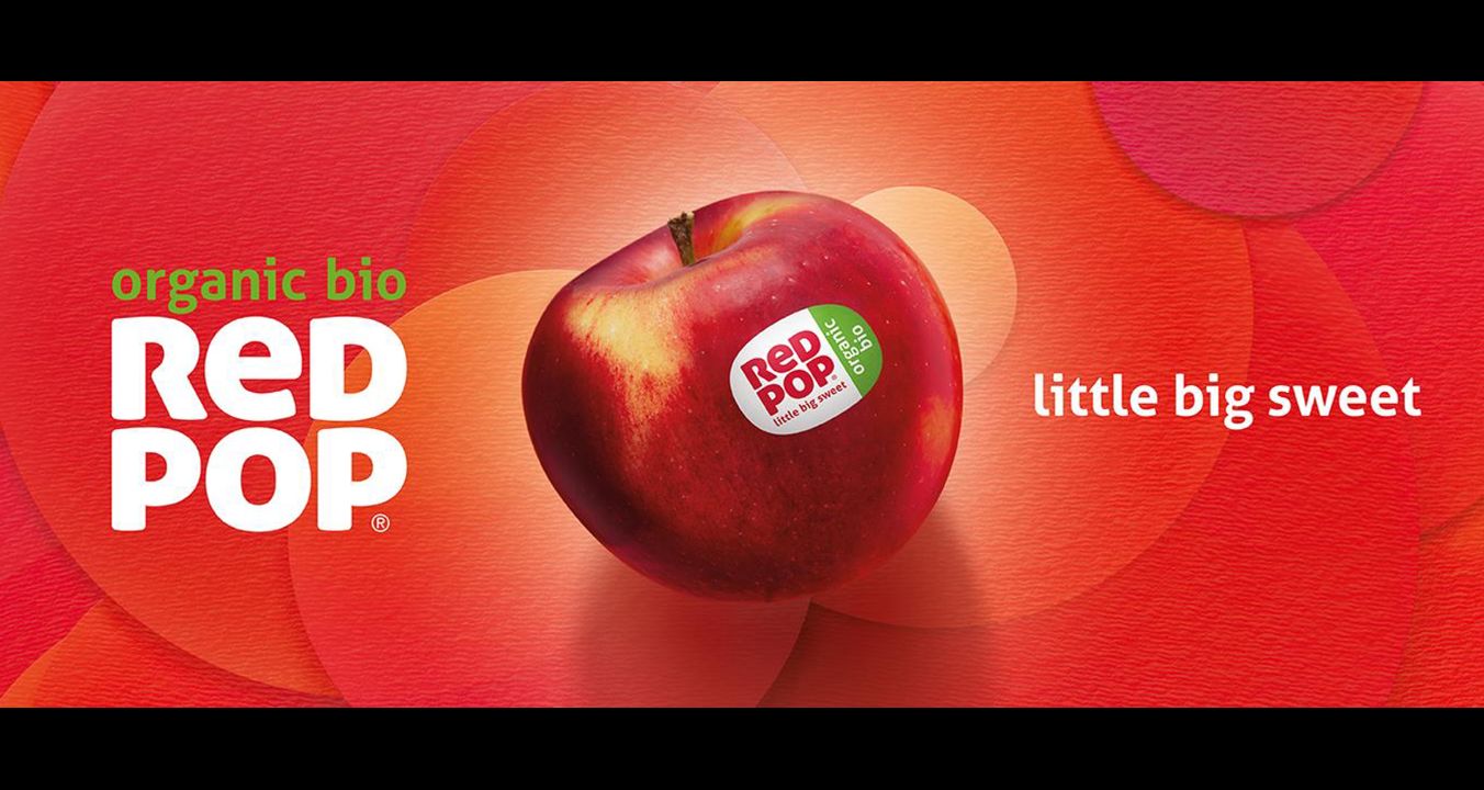 redpop-header-website-1352-x-569px-bio-en