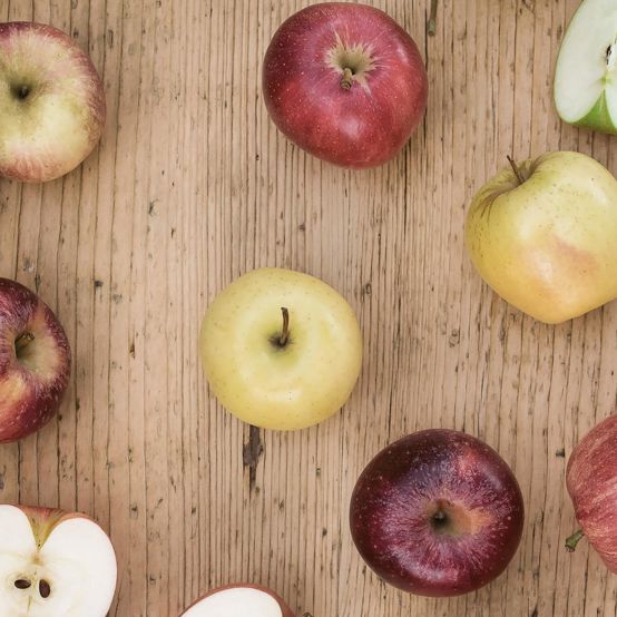 products-vog-prod-brands-ip-bio-quer