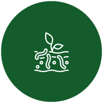 pflanzengesundheit-und-einsaaten