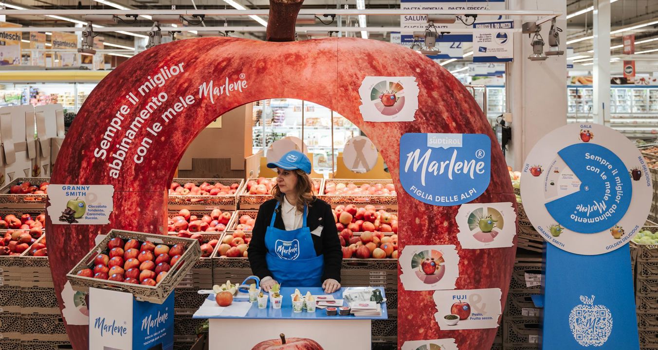 marlene-il-gusto-dell-armonia-1-mintmediahouse