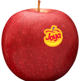 new-joya-apple-wsticker-high-res