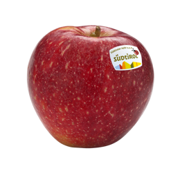 packshot-sq159-g-g-a